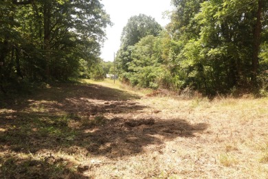Here is an incredible opportunity to own a 6.44 M/L mostly on Lost Woods Golf Course in Missouri - for sale on GolfHomes.com, golf home, golf lot