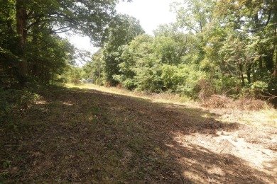 Here is an incredible opportunity to own a 6.44 M/L mostly on Lost Woods Golf Course in Missouri - for sale on GolfHomes.com, golf home, golf lot