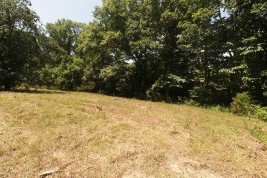 Here is an incredible opportunity to own a 6.44 M/L mostly on Lost Woods Golf Course in Missouri - for sale on GolfHomes.com, golf home, golf lot