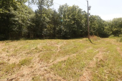 Here is an incredible opportunity to own a 6.44 M/L mostly on Lost Woods Golf Course in Missouri - for sale on GolfHomes.com, golf home, golf lot