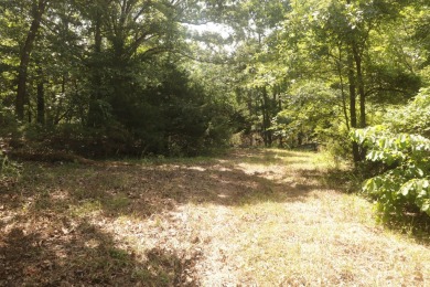 Here is an incredible opportunity to own a 6.44 M/L mostly on Lost Woods Golf Course in Missouri - for sale on GolfHomes.com, golf home, golf lot