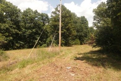 Here is an incredible opportunity to own a 6.44 M/L mostly on Lost Woods Golf Course in Missouri - for sale on GolfHomes.com, golf home, golf lot
