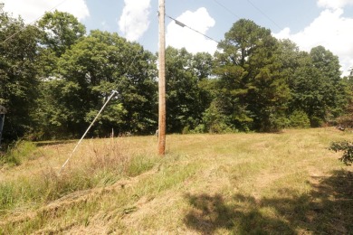 Here is an incredible opportunity to own a 6.44 M/L mostly on Lost Woods Golf Course in Missouri - for sale on GolfHomes.com, golf home, golf lot
