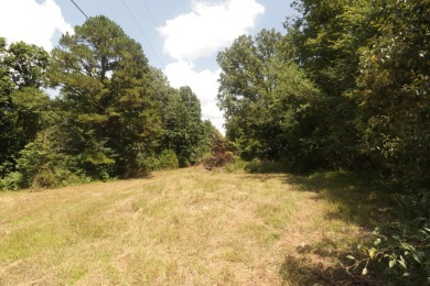 Here is an incredible opportunity to own a 6.44 M/L mostly on Lost Woods Golf Course in Missouri - for sale on GolfHomes.com, golf home, golf lot