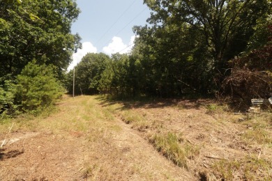 Here is an incredible opportunity to own a 6.44 M/L mostly on Lost Woods Golf Course in Missouri - for sale on GolfHomes.com, golf home, golf lot