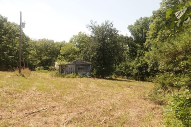 Here is an incredible opportunity to own a 6.44 M/L mostly on Lost Woods Golf Course in Missouri - for sale on GolfHomes.com, golf home, golf lot