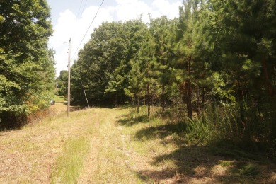 Here is an incredible opportunity to own a 6.44 M/L mostly on Lost Woods Golf Course in Missouri - for sale on GolfHomes.com, golf home, golf lot