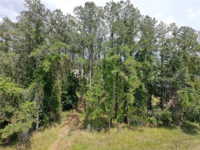 Build-Ready Lot in Southern Hills Plantation - Premium Location on Southern Hills Plantation Club in Florida - for sale on GolfHomes.com, golf home, golf lot