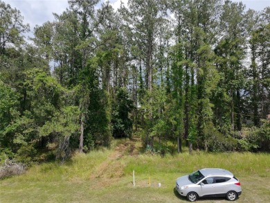 Build-Ready Lot in Southern Hills Plantation - Premium Location on Southern Hills Plantation Club in Florida - for sale on GolfHomes.com, golf home, golf lot