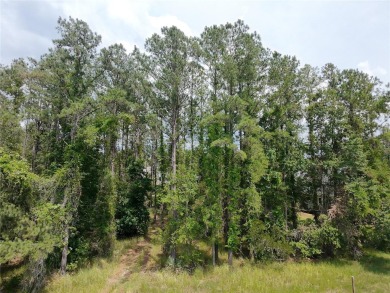 Build-Ready Lot in Southern Hills Plantation - Premium Location on Southern Hills Plantation Club in Florida - for sale on GolfHomes.com, golf home, golf lot