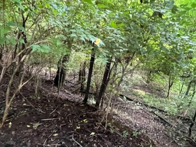 Come experience the charm of one of Tennessee's oldest counties on Dandridge Golf and Country Club in Tennessee - for sale on GolfHomes.com, golf home, golf lot