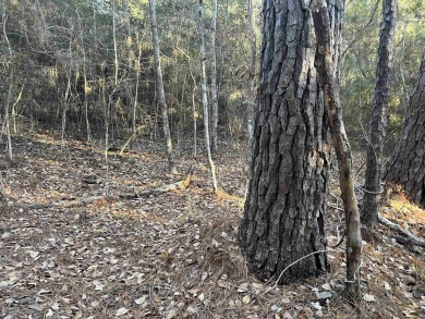 ust under 1/2 acre lot in the heart of Rayburn Country! on Rayburn Country Club in Texas - for sale on GolfHomes.com, golf home, golf lot