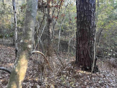 ust under 1/2 acre lot in the heart of Rayburn Country! on Rayburn Country Club in Texas - for sale on GolfHomes.com, golf home, golf lot