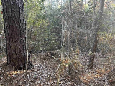 ust under 1/2 acre lot in the heart of Rayburn Country! on Rayburn Country Club in Texas - for sale on GolfHomes.com, golf home, golf lot