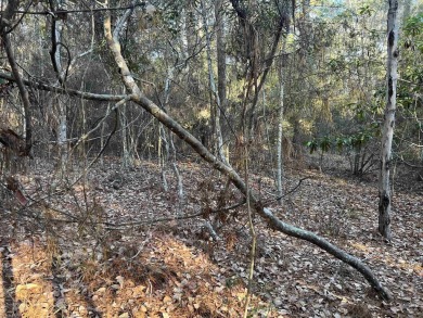 ust under 1/2 acre lot in the heart of Rayburn Country! on Rayburn Country Club in Texas - for sale on GolfHomes.com, golf home, golf lot