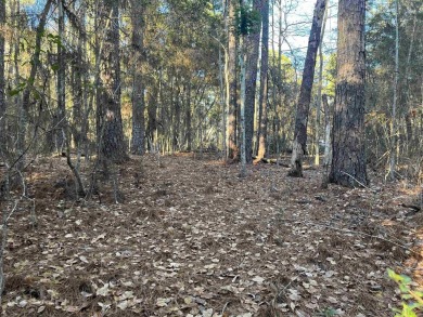 ust under 1/2 acre lot in the heart of Rayburn Country! on Rayburn Country Club in Texas - for sale on GolfHomes.com, golf home, golf lot