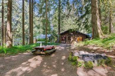 Welcome to your sanctuary in the woods, perfectly situated close on The Resort at the Mountain in Oregon - for sale on GolfHomes.com, golf home, golf lot