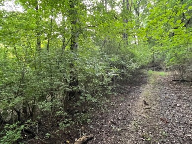 Come experience the charm of one of Tennessee's oldest counties on Dandridge Golf and Country Club in Tennessee - for sale on GolfHomes.com, golf home, golf lot