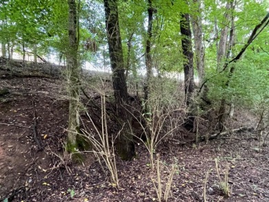 Come experience the charm of one of Tennessee's oldest counties on Dandridge Golf and Country Club in Tennessee - for sale on GolfHomes.com, golf home, golf lot