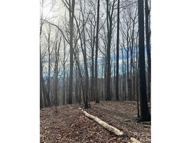 Discover the perfect blend of luxury and nature with this 2 on Brights Creek Golf Course in North Carolina - for sale on GolfHomes.com, golf home, golf lot