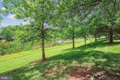 Are you ready for low maintenance and main level living, but on Regency At Dominion Valley Country Club in Virginia - for sale on GolfHomes.com, golf home, golf lot