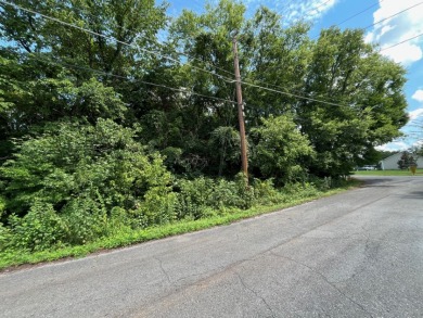 TWO lots for the price of ONE! on Ruggles Ferry Golf Club in Tennessee - for sale on GolfHomes.com, golf home, golf lot