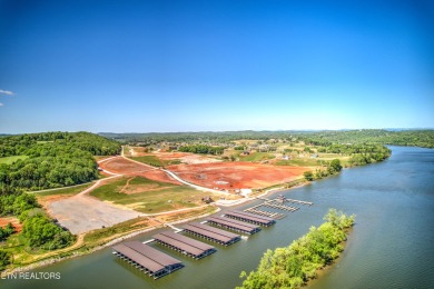 THIS IS THE VIEW!  Experience the stunning view of #15 Green at on Tennessee National Golf Club in Tennessee - for sale on GolfHomes.com, golf home, golf lot