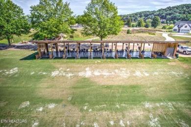 THIS IS THE VIEW!  Experience the stunning view of #15 Green at on Tennessee National Golf Club in Tennessee - for sale on GolfHomes.com, golf home, golf lot