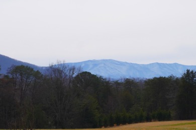 Main-Level Living with Mountain Views & Incredible Storage on Smoky Mountain Country Club in Tennessee - for sale on GolfHomes.com, golf home, golf lot