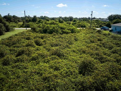 Build your dream home in the desirable Harbor Heights on Deep Creek Golf Club in Florida - for sale on GolfHomes.com, golf home, golf lot