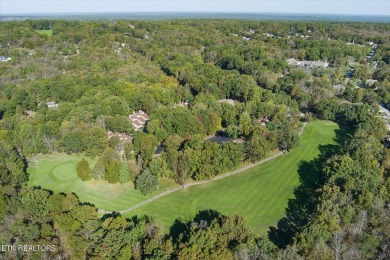 Looking for a stunning townhouse with views of the 16th hole of on Druid Hills Golf Club in Tennessee - for sale on GolfHomes.com, golf home, golf lot
