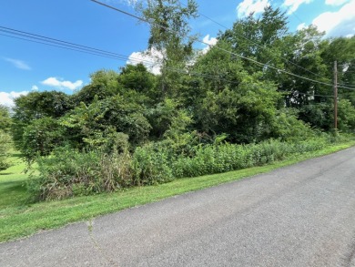 TWO lots for the price of ONE! on Ruggles Ferry Golf Club in Tennessee - for sale on GolfHomes.com, golf home, golf lot