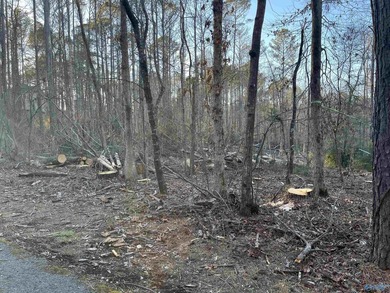 Beautiful Golf-course Community! Get The House Plans ready to on Cherokee Ridge Country Club in Alabama - for sale on GolfHomes.com, golf home, golf lot