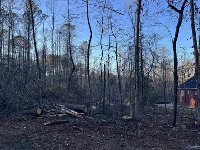 Beautiful Golf-course Community! Get The House Plans ready to on Cherokee Ridge Country Club in Alabama - for sale on GolfHomes.com, golf home, golf lot