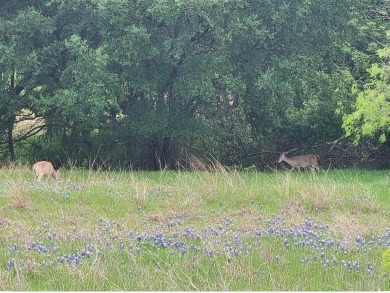 This 0.17-acre lot is adjacent to the new golf course at White on White Bluff Resort - New Course in Texas - for sale on GolfHomes.com, golf home, golf lot