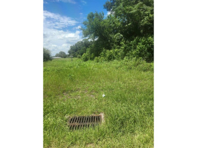 Prime Location! Corner Lot! Located at the corner of SE 142nd on Eagle Ridge At Spruce Creek Country Club in Florida - for sale on GolfHomes.com, golf home, golf lot