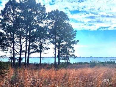 Approx. 300' Lagoon waterfront! This property is ideal!  2 lots on Peninsula Golf and Racquet Club in Alabama - for sale on GolfHomes.com, golf home, golf lot