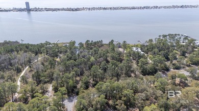 Approx. 300' Lagoon waterfront! This property is ideal!  2 lots on Peninsula Golf and Racquet Club in Alabama - for sale on GolfHomes.com, golf home, golf lot