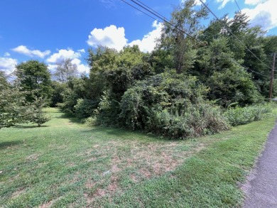 TWO lots for the price of ONE! on Ruggles Ferry Golf Club in Tennessee - for sale on GolfHomes.com, golf home, golf lot