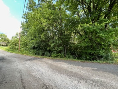 TWO lots for the price of ONE! on Ruggles Ferry Golf Club in Tennessee - for sale on GolfHomes.com, golf home, golf lot