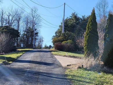 Beautiful Piedmont Views can be yours. View lots are getting on Skyland Lakes Golf Course in Virginia - for sale on GolfHomes.com, golf home, golf lot