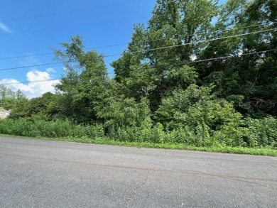 TWO lots for the price of ONE! on Ruggles Ferry Golf Club in Tennessee - for sale on GolfHomes.com, golf home, golf lot