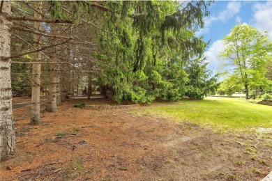 Discover effortless one-level living in this charming 3-bedroom on Fairway Shores Executive Golf Course in Minnesota - for sale on GolfHomes.com, golf home, golf lot