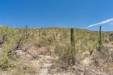 Exceptional custom homesite is now available within the on Arizona National Golf Club in Arizona - for sale on GolfHomes.com, golf home, golf lot