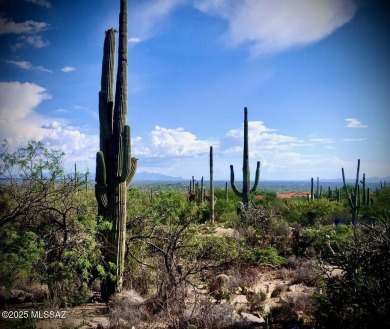 Exceptional custom homesite is now available within the on Arizona National Golf Club in Arizona - for sale on GolfHomes.com, golf home, golf lot