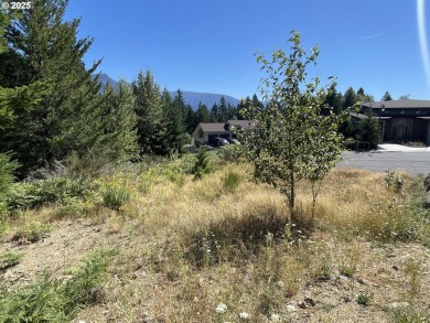A pristine secluded canvas for your dream estate. This on Skamania Lodge Golf Course in Washington - for sale on GolfHomes.com, golf home, golf lot