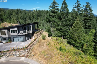 A pristine secluded canvas for your dream estate. This on Skamania Lodge Golf Course in Washington - for sale on GolfHomes.com, golf home, golf lot