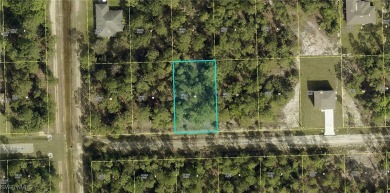 Are you searching for a stunning lot to build your new home in on River Hall Country Club in Florida - for sale on GolfHomes.com, golf home, golf lot