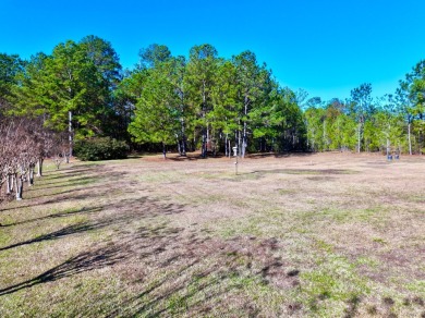 Welcome to your dream home in the highly sought-after Lakewood on Pineview Country Club in Alabama - for sale on GolfHomes.com, golf home, golf lot