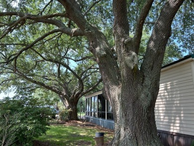 Lake Marion unobstructed Waterfront without the price tag! on Foxboro Golf Club in South Carolina - for sale on GolfHomes.com, golf home, golf lot